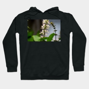 Basil Blossom Hoodie